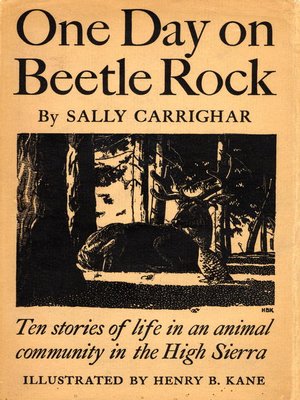 cover image of One Day On Beetle Rock